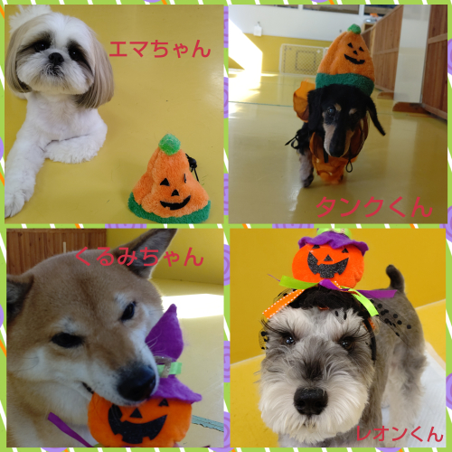 🎃ハッピーハロウィン🎃_f0357682_14271886.jpg