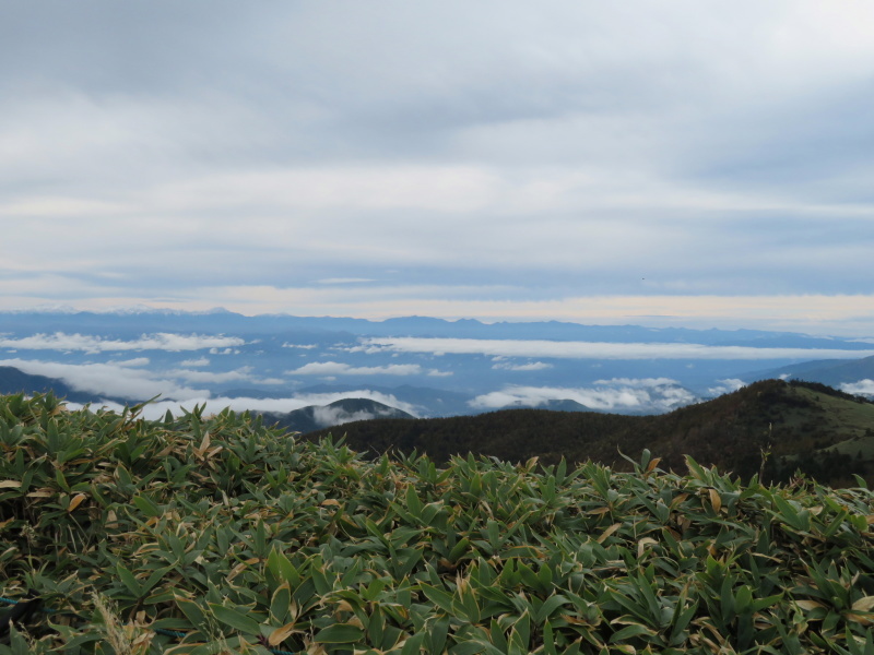 雪を頂いた南アルプス　富士見台 (1,739M)    登頂 編_d0170615_20364736.jpg