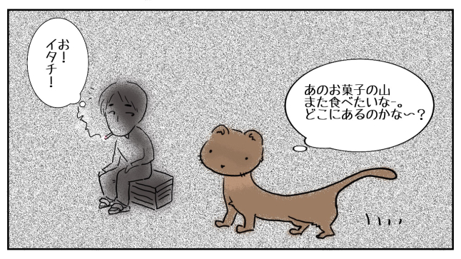 野生動物たちの縄張り意識を利用 島美砂 毎日がおかげさま