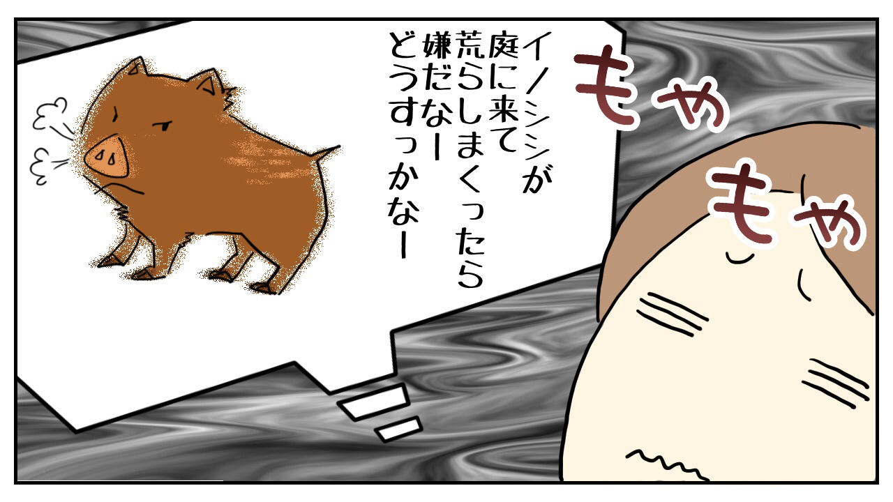 野生動物たちの縄張り意識を利用 島美砂 毎日がおかげさま