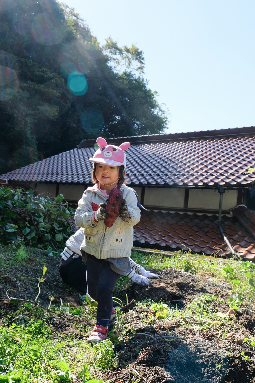芋とったど~。_e0404457_13091550.jpg