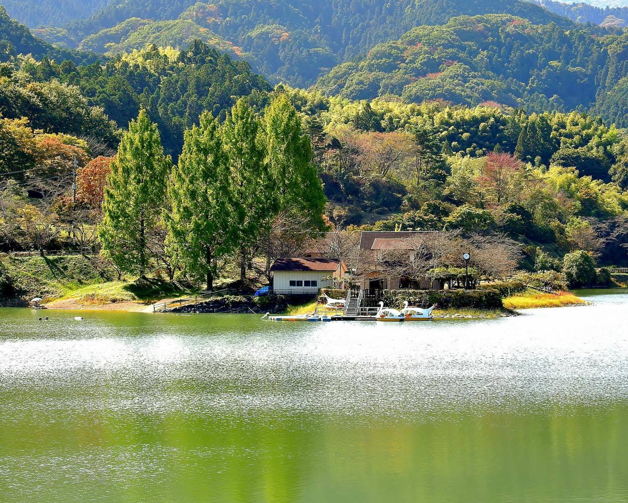 大塩湖で ゴキヅルに再会 ほか_c0305565_17164681.jpg