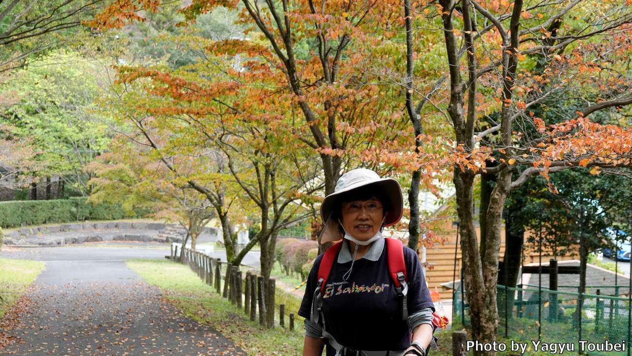 日本 文殊の森公園の秋模様 とことん写真 日本 文殊の森公園の秋模様 とことん写真