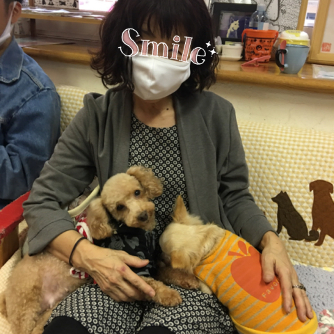 保護犬カフェ天神橋店に ひとり言