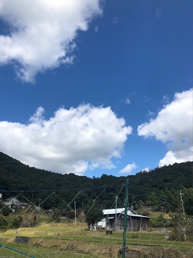 秋散歩_f0202682_15362764.jpg