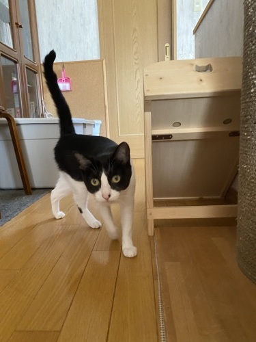 ありがとうございます_a0216583_19580059.jpeg