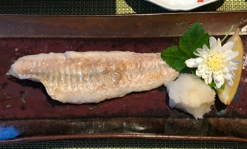 トクビレ 八角 のお刺身 塩焼き 皮せんべい やせっぽちソプラノのキッチン2 トクビレ 八角 のお刺身 塩焼き 皮せんべい やせっぽちソプラノのキッチン2