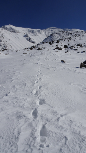 △▲北海道最高峰！雪で白くなった旭岳に行ってきました△▲_d0198793_15044371.jpg