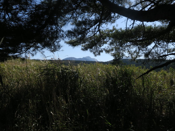 修行登山の大内ケ平山　2020.10.24_a0166196_11504563.jpg