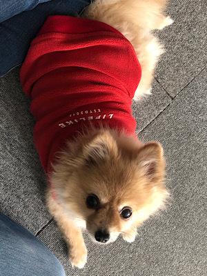 58歳、そろそろwith年齢でいくかー!!_f0249610_09592405.jpeg
