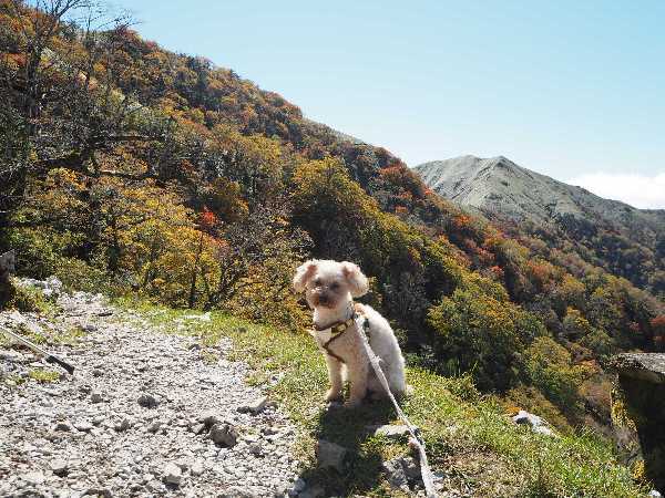 10月11日　剣山登山_a0133211_21335092.jpg