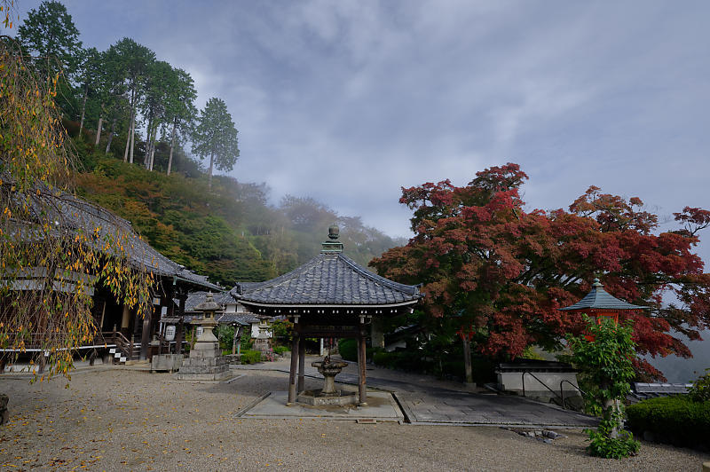 霧の善峯寺_f0032011_19021826.jpg