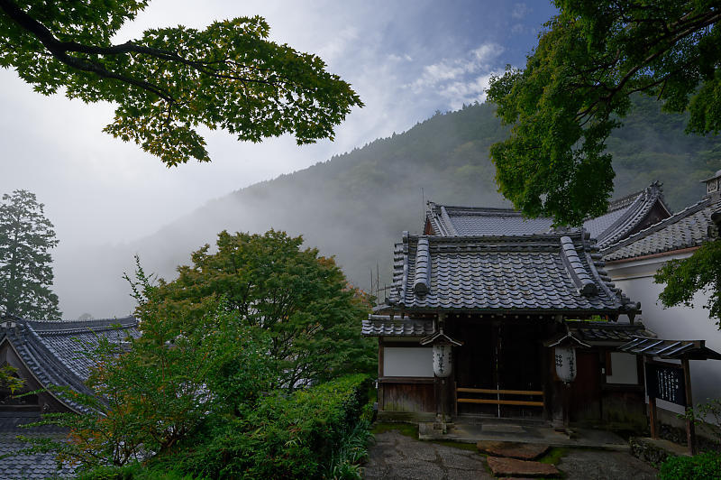 霧の善峯寺_f0032011_19021893.jpg