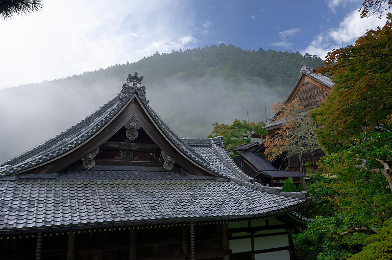 霧の善峯寺_f0032011_19021894.jpg