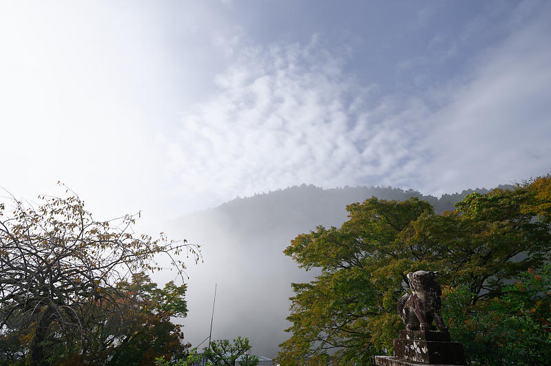 霧の善峯寺_f0032011_19064343.jpg