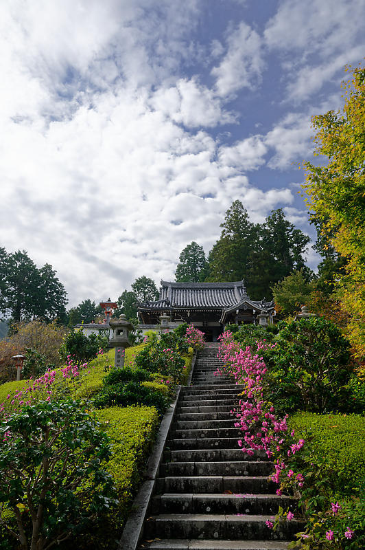 霧の善峯寺_f0032011_19064489.jpg