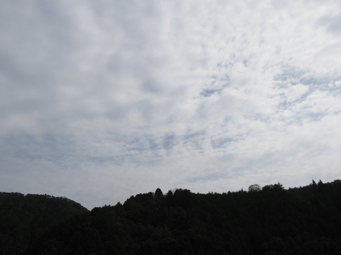曇り時に晴れ_c0116915_23051813.jpg