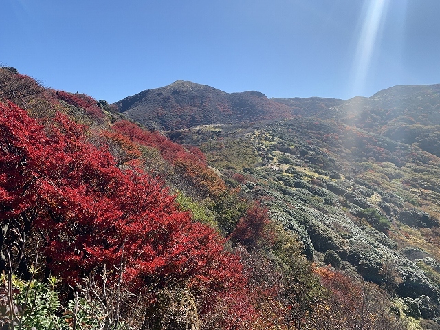 九重連山の紅葉2020 その2_d0177220_10345981.jpg