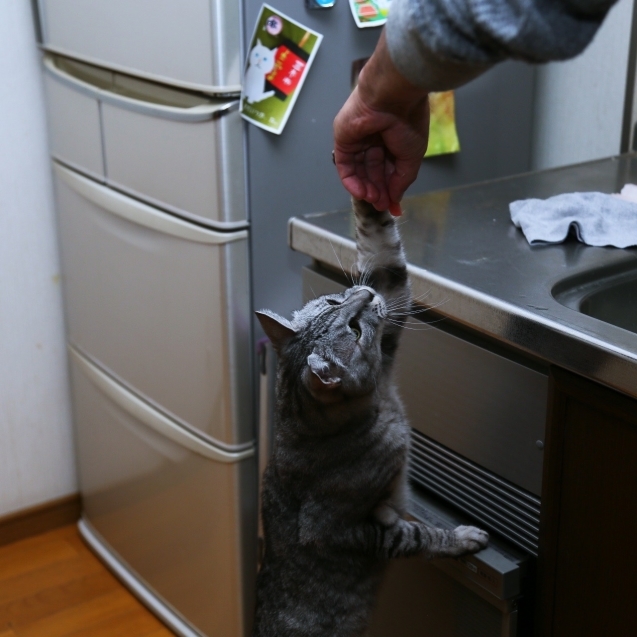 なっちゃんの飲み物。_d0355333_23254808.jpg