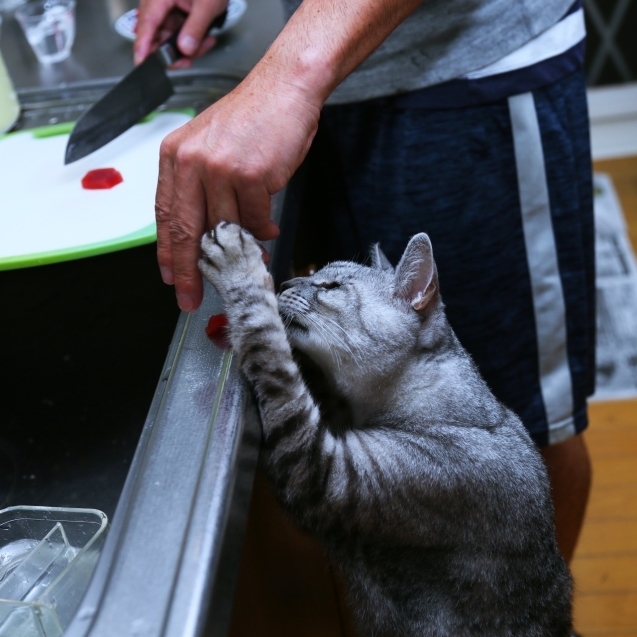 なっちゃんの飲み物。_d0355333_23255239.jpg