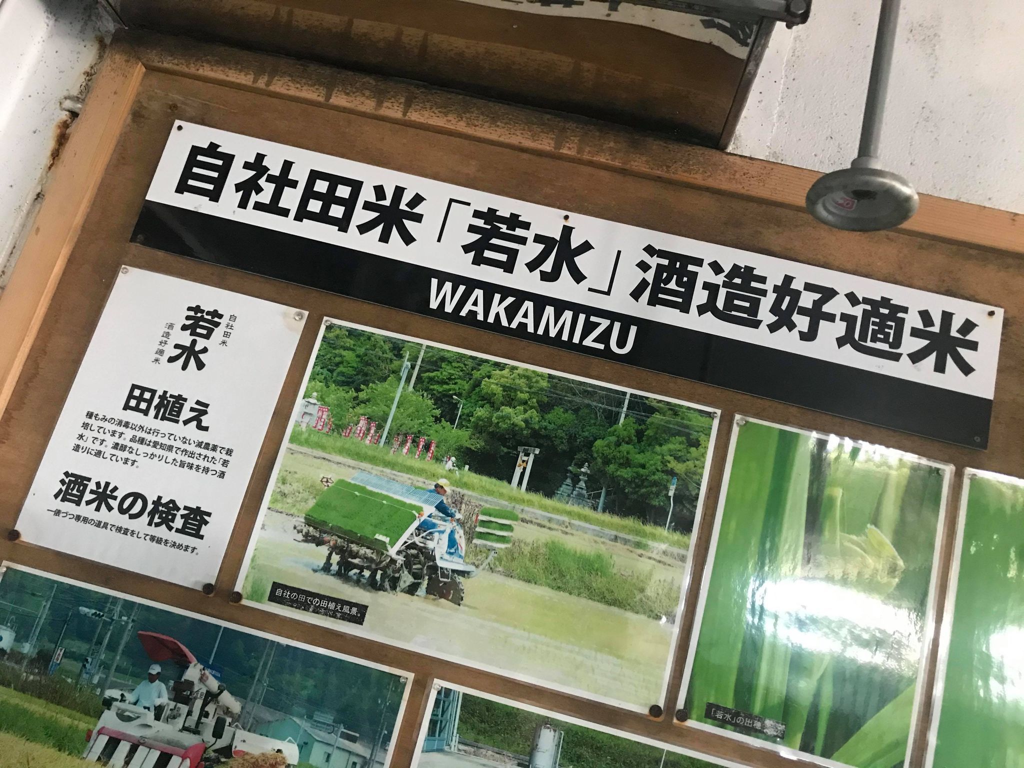 【蔵元訪問】白老=HAKUROU=SHIRAOI=ポテンシャル無限大∞_e0173738_09261987.jpg