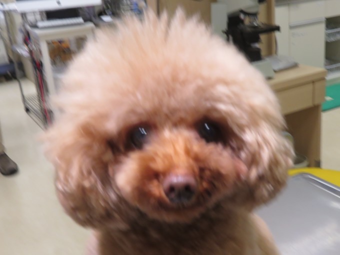 10 月 28 日の写真_c0174644_10472504.jpg