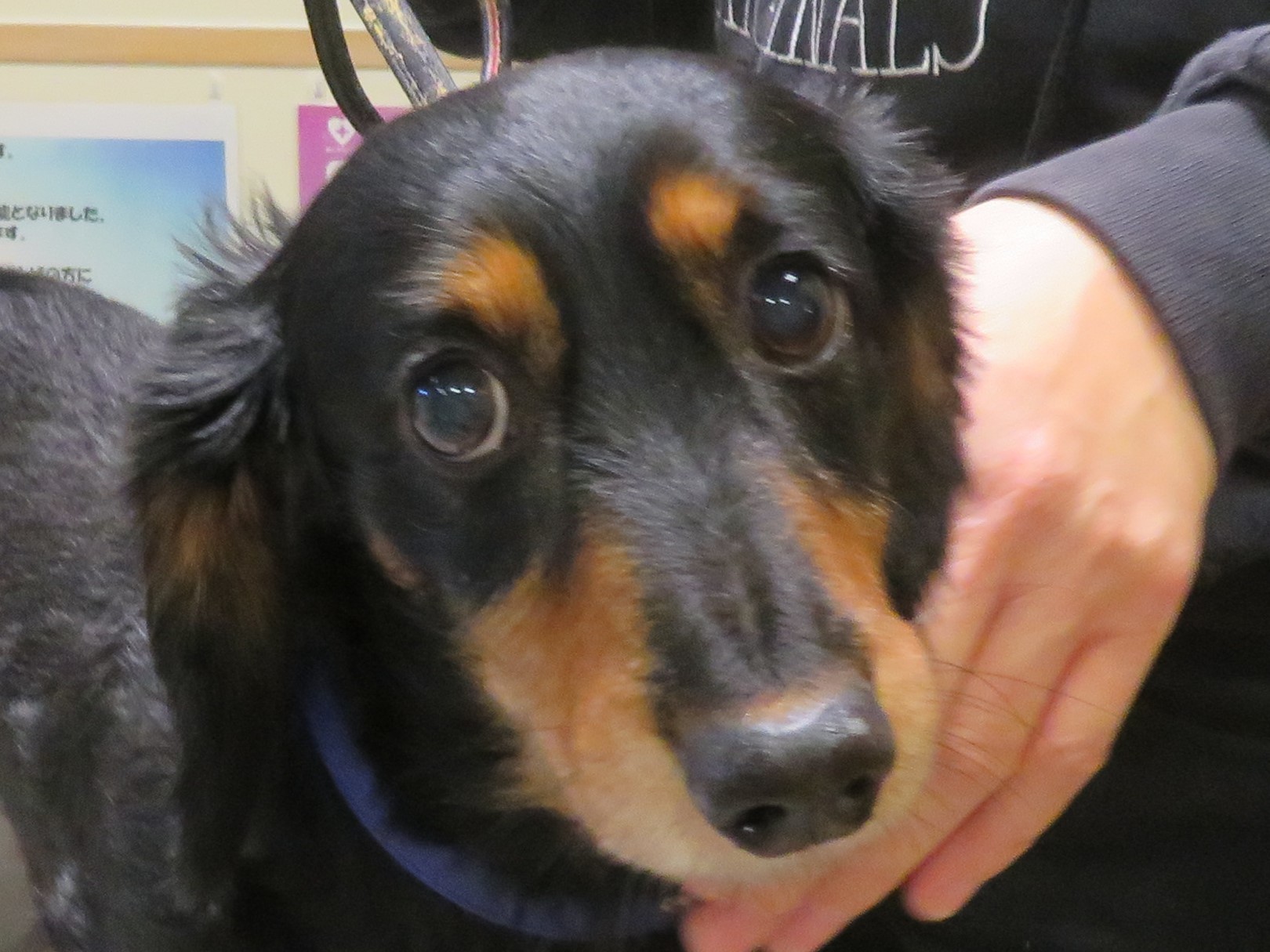 10 月 28 日の写真_c0174644_12330164.jpg