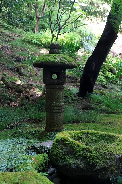 鎌倉 報国寺 苔 暮らしを紡ぐ2