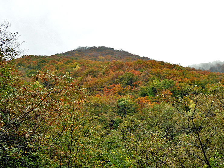 紅葉の大万木山①_f0214649_19361538.jpg