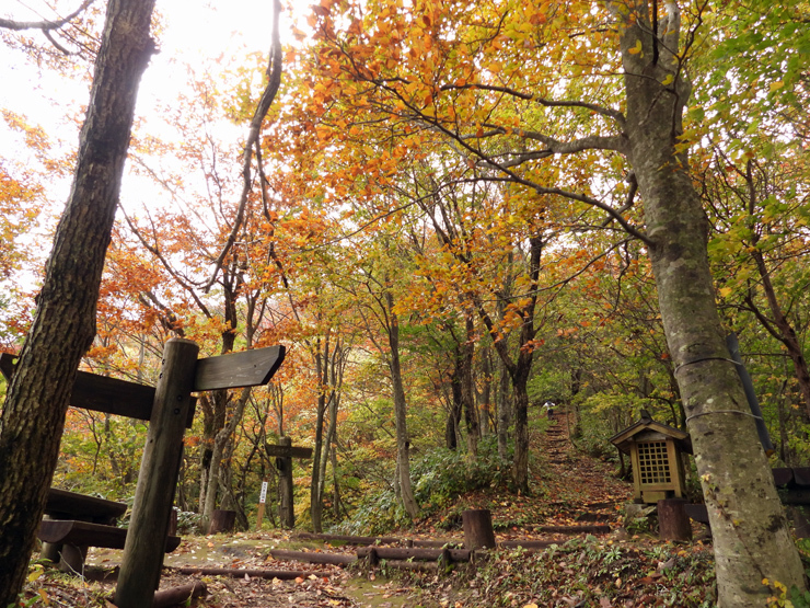 紅葉の大万木山①_f0214649_19403885.jpg