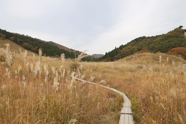 砥峰高原_b0328557_23033388.jpg