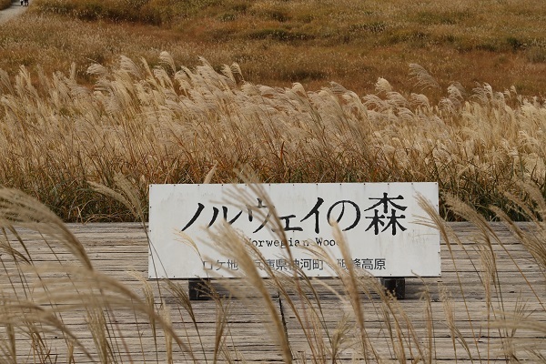 砥峰高原_b0328557_23035741.jpg