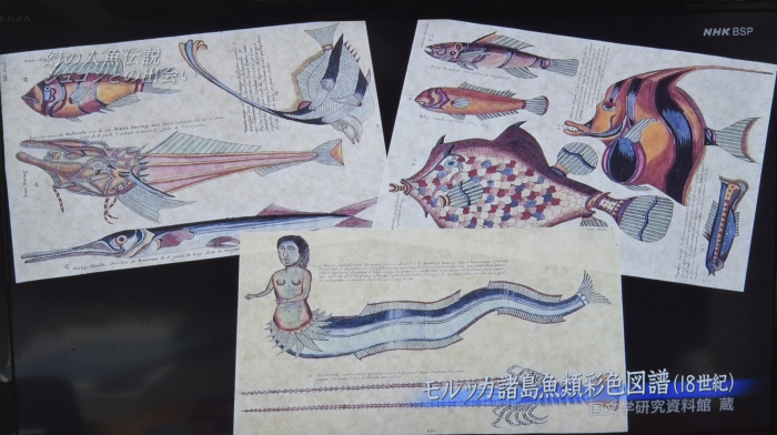 土竜のトンネル