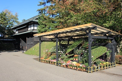 弘前城植物園菊の展示_2020.10.28撮影_d0131668_13350317.jpg