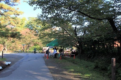 弘前城植物園菊の展示_2020.10.28撮影_d0131668_13375877.jpg