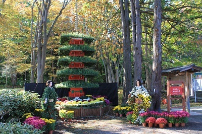 弘前城植物園菊の展示_2020.10.28撮影_d0131668_13382878.jpg