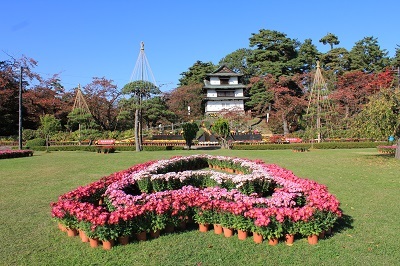 弘前城植物園菊の展示_2020.10.28撮影_d0131668_13401993.jpg