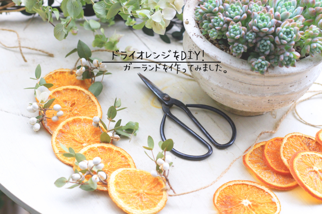 56選! HORTI記事をまとめてみました!_b0160880_23021829.jpg