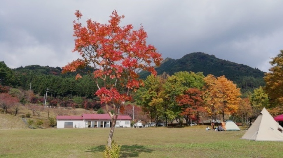 伊香保森林公園 榛名山 車中泊仲間_c0212083_19554741.jpg