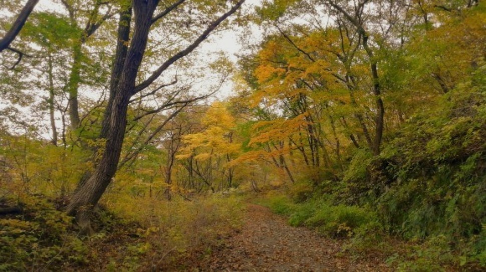 伊香保森林公園 榛名山 車中泊仲間_c0212083_20094599.jpg