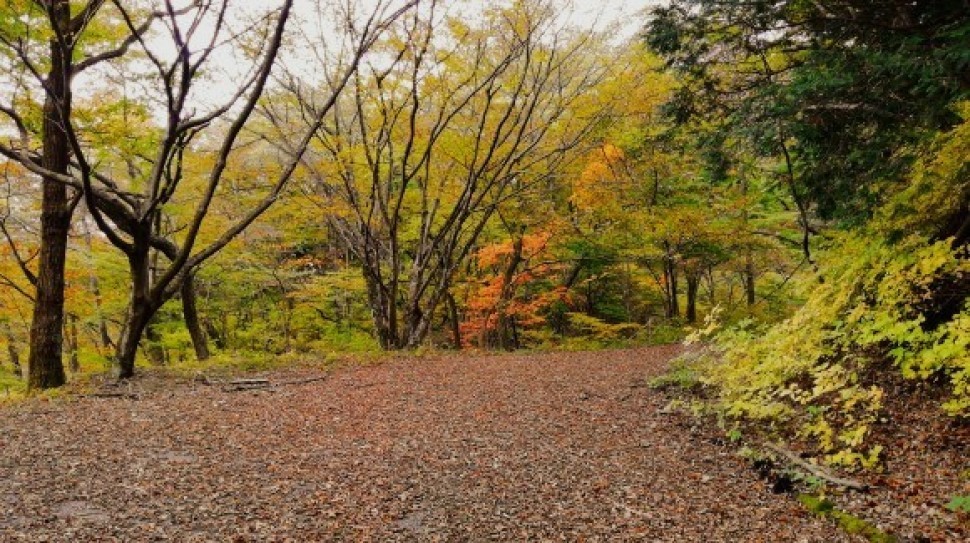 伊香保森林公園　榛名山　車中泊仲間_c0212083_20101120.jpg