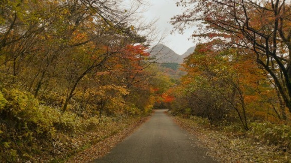 伊香保森林公園　榛名山　車中泊仲間_c0212083_20110271.jpg