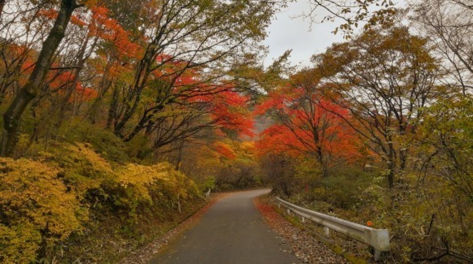 伊香保森林公園 榛名山 車中泊仲間_c0212083_20112147.jpg