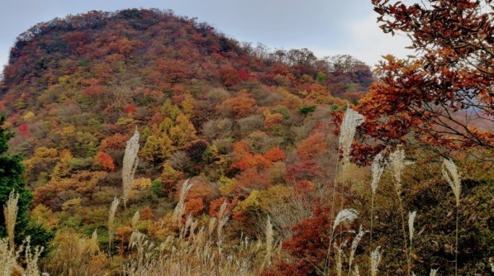 伊香保森林公園　榛名山　車中泊仲間_c0212083_20132991.jpg