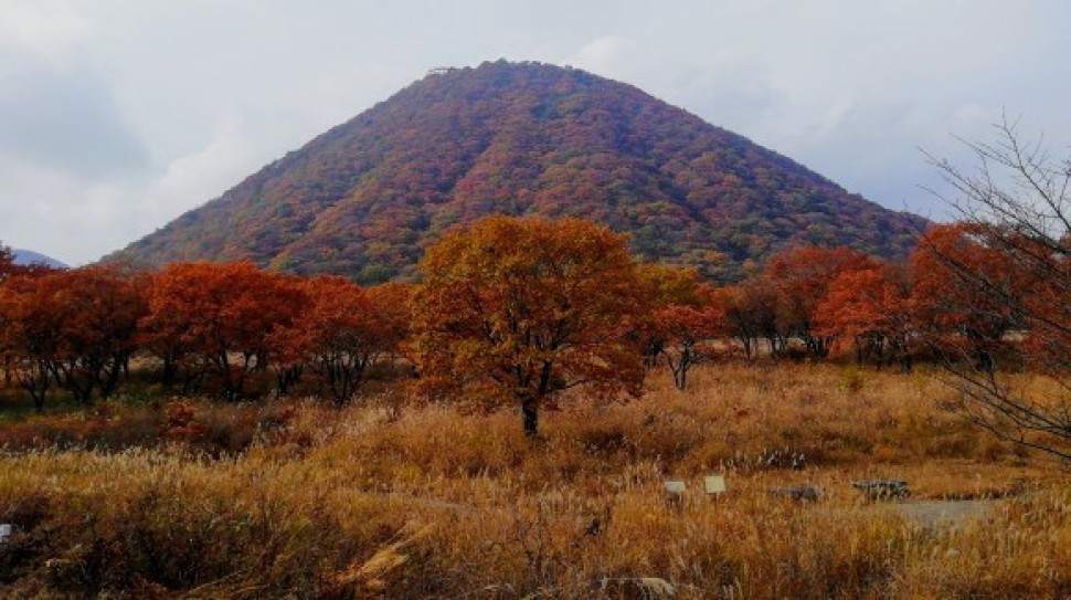 伊香保森林公園 榛名山 車中泊仲間_c0212083_20142278.jpg