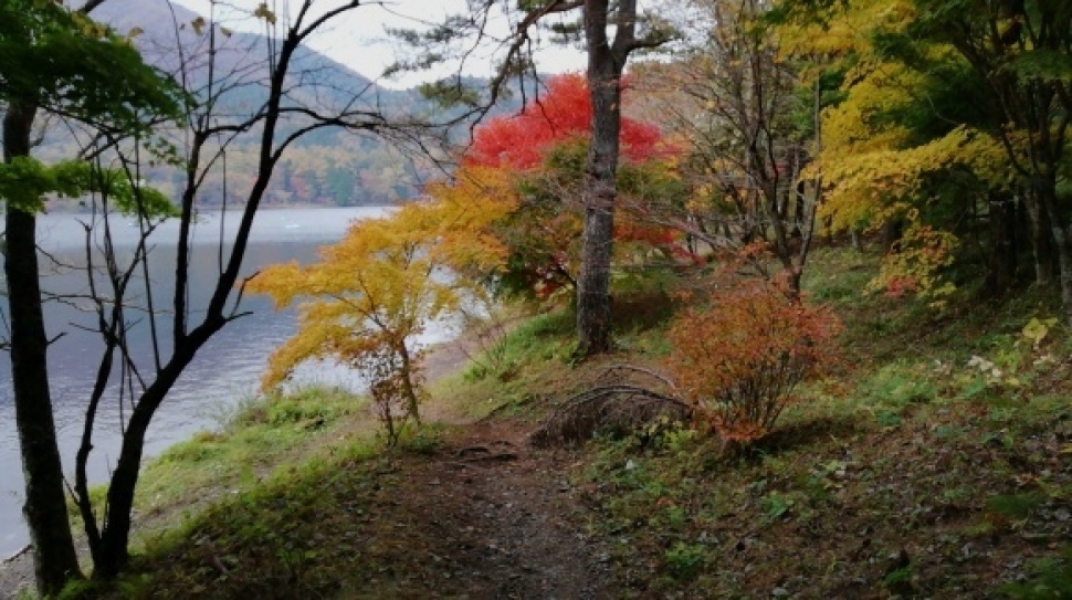 伊香保森林公園 榛名山 車中泊仲間_c0212083_20150252.jpg