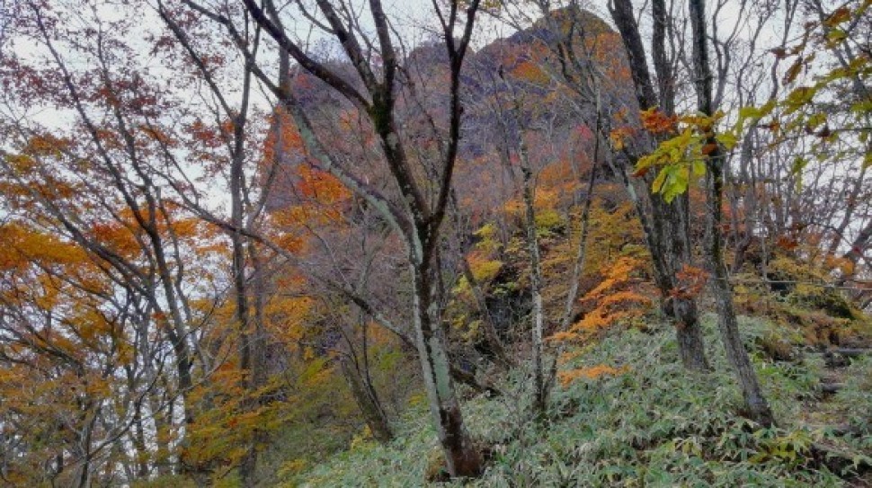 伊香保森林公園 榛名山 車中泊仲間_c0212083_20152944.jpg