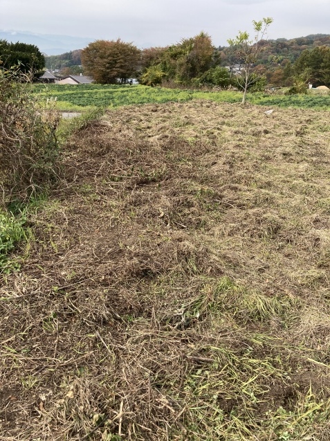ザ ローズショップ小諸試験場に行ってきました バラのある幸せな暮らし研究所 ザ ローズショップ小諸試験場に行ってきました バラのある幸せな暮らし研究所