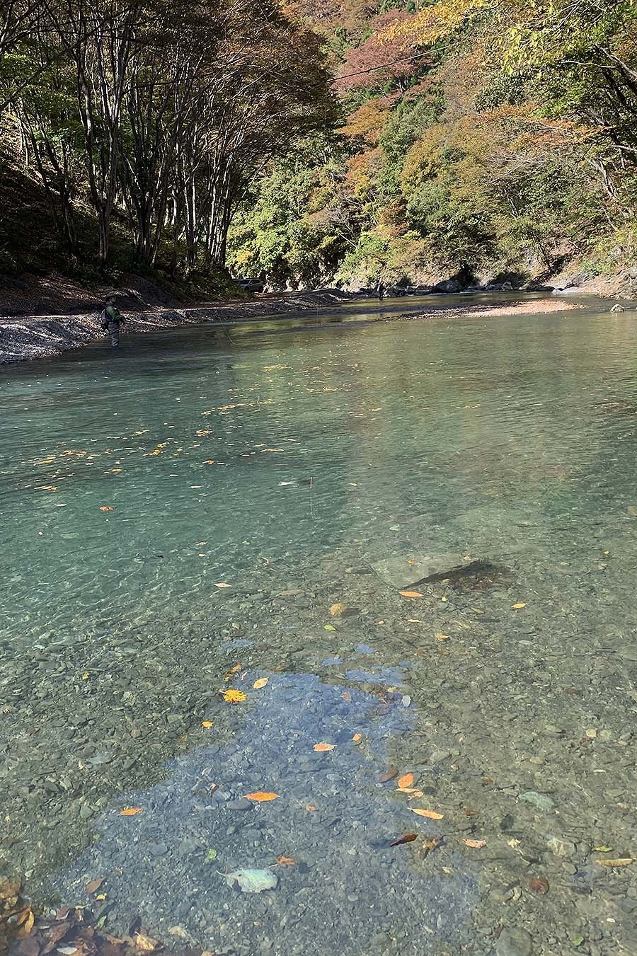 お待ちかねのハコスチ釣行_c0095801_16590073.jpeg