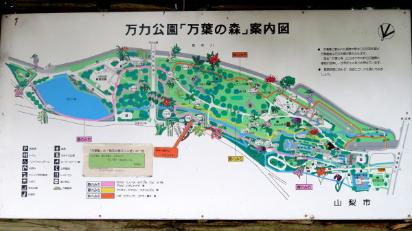 「神様になった日」舞台探訪001 第01話降臨の日 山梨市万力公園周辺ほか_e0304702_19154803.jpg